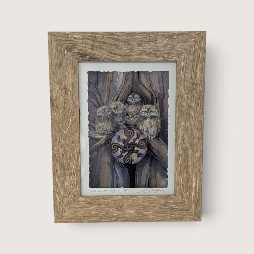 Little Owl Medicine Jody Bergsma Signed Print Framed Wildlife Art Nature Decor